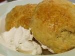 Scone Scone